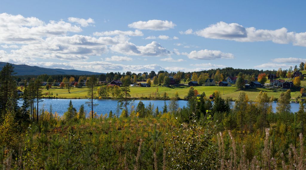 Bakgrundsbild Skålan host