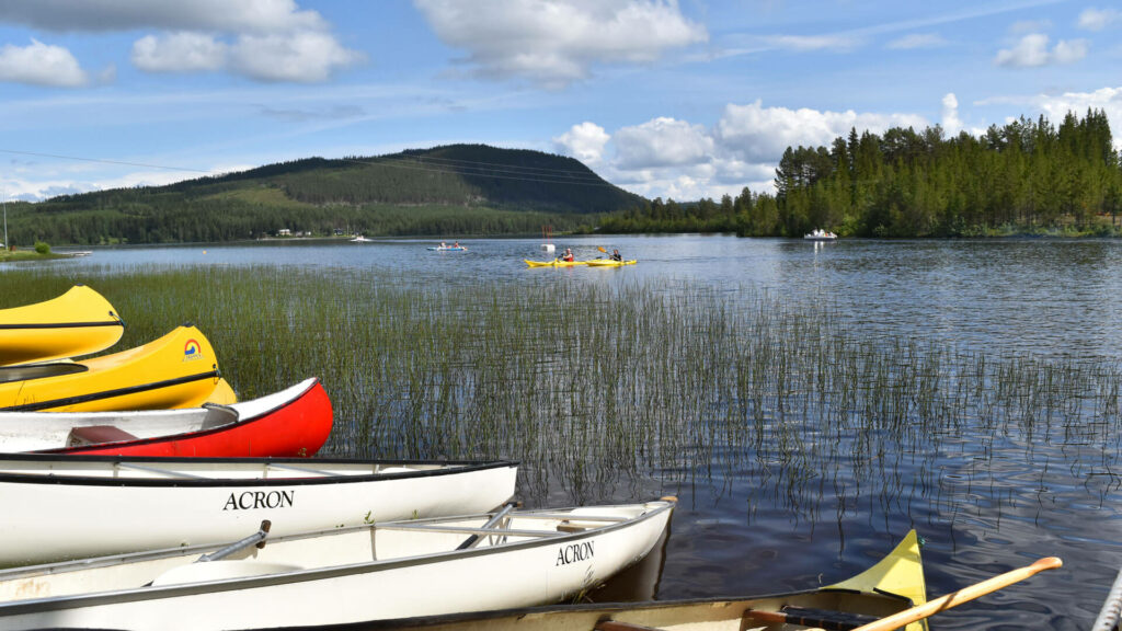 Bakgrundsbild Skålan